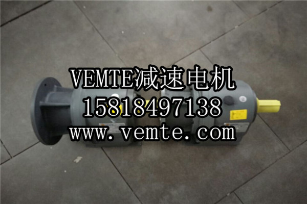 立式齒輪減速機，臥式齒輪減速機,齒輪減速電機,齒輪減速馬達 (1)